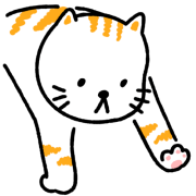 Salmon แมวเป้า รูปที่ 14