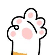 Salmon แมวเป้า รูปที่ 21