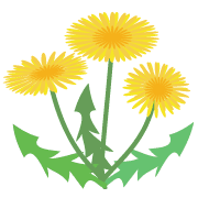033