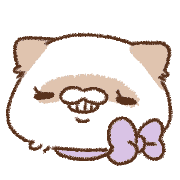 019