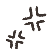 026