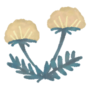 020