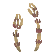 024