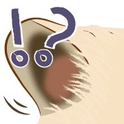 024