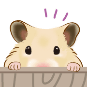 036