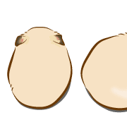 039