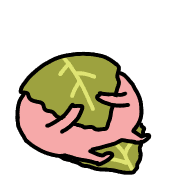 023