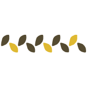 019