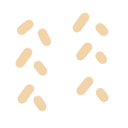 031