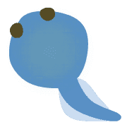 020