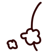 029
