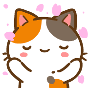 ลายที่ 41