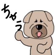 003