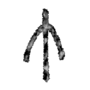 008