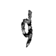 013