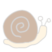 029