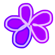 003