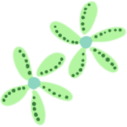 032