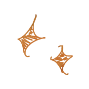 016