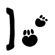 003