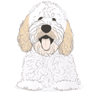 อิโมจิไลน์ Goldendoodle Emoji