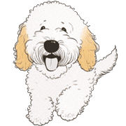 อิโมจิไลน์ Goldendoodle Emoji