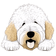 อิโมจิไลน์ Goldendoodle Emoji