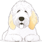 อิโมจิไลน์ Goldendoodle Emoji