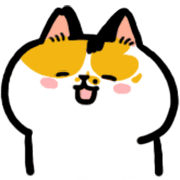 004