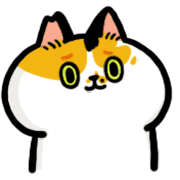 009