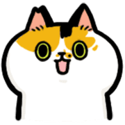 010
