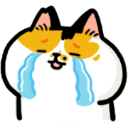 016