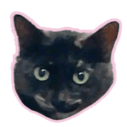 003
