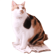 012
