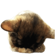 040