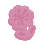 005