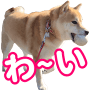004