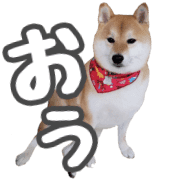 006