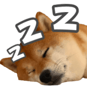 007