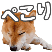008