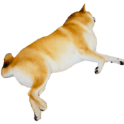 009
