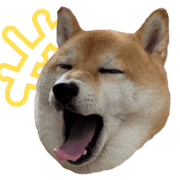 015