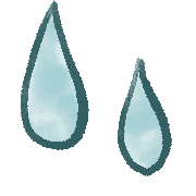 017