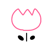 029