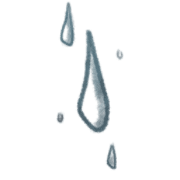 ลายที่ 13