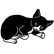 013