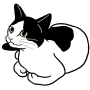 016