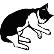 019