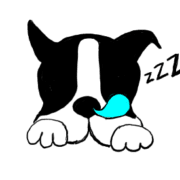 004
