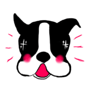005
